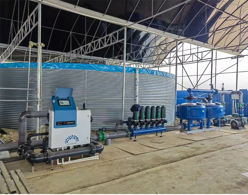 Proiect de cultivare a substratului de afine Yunnan Yunnan