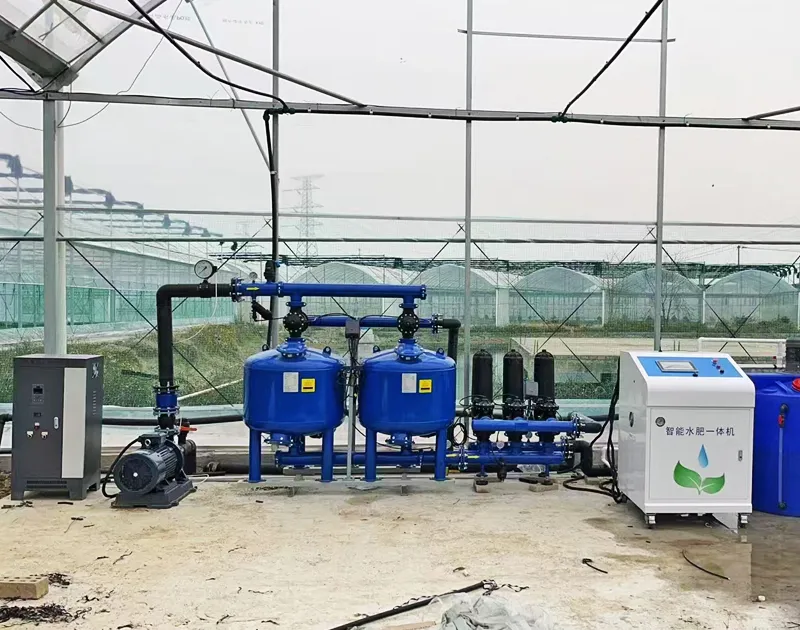 Proiect de cultivare a tomatelor din China Gansu